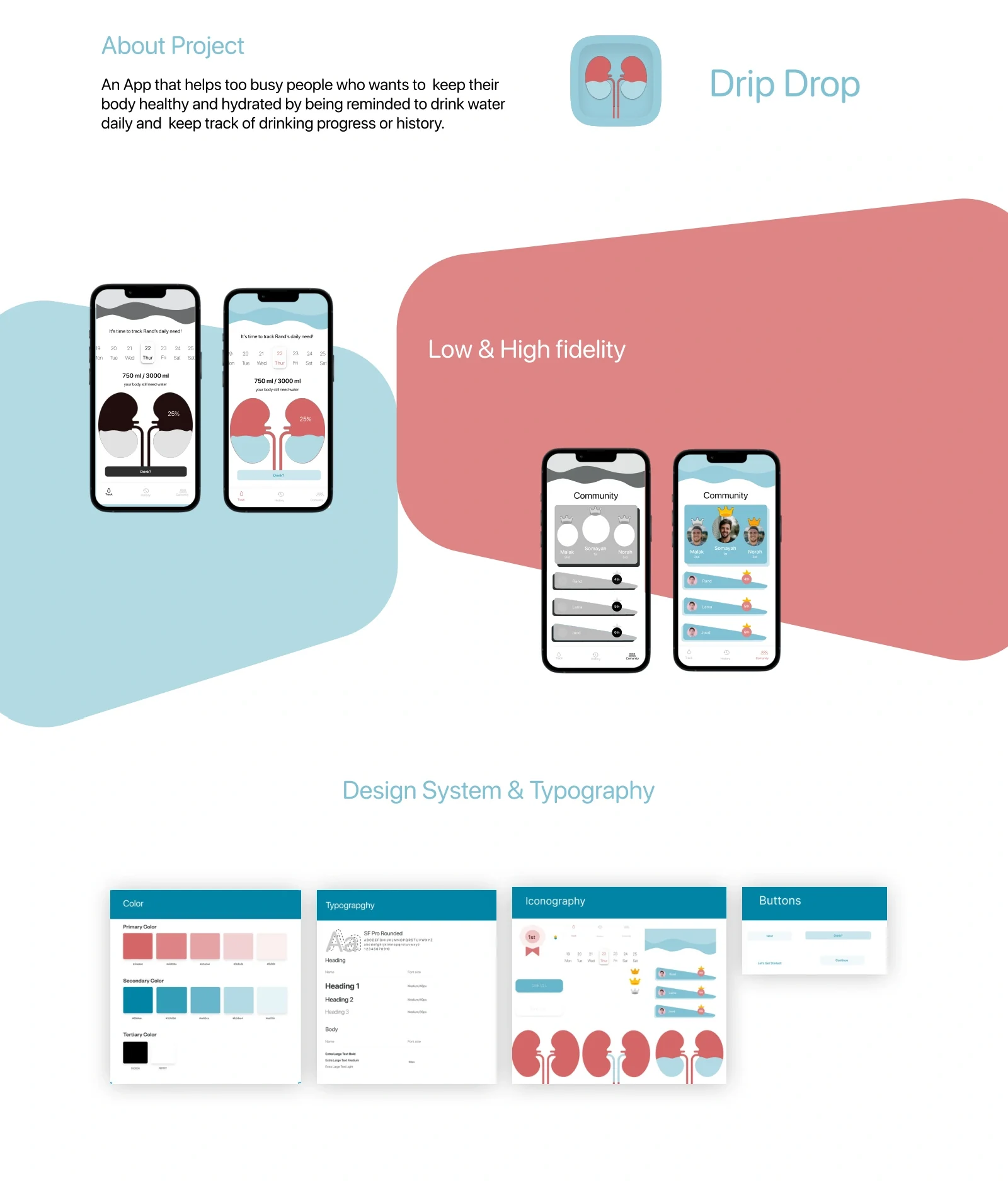 Drip Drop App — full continuous project board: Hydration tracking and community screens; Color, typography, iconography and buttons